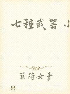 七种武器 小说