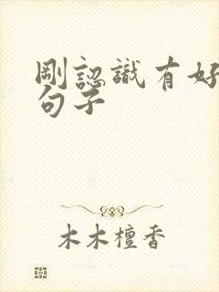 刚认识有好感的句子