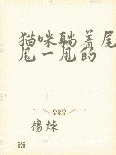 猫咪躺着尾巴一甩一甩的