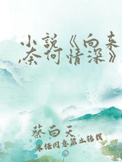 小说《向来缘浅,奈何情深》
