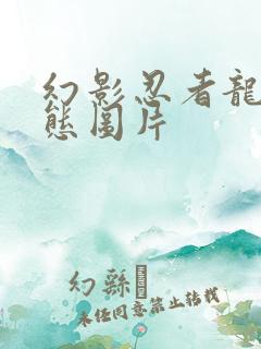 幻影忍者龙之形态图片