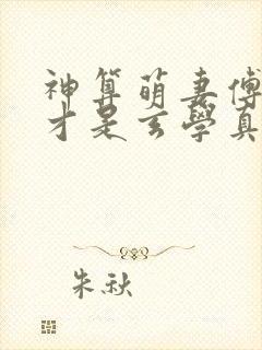 神算萌妻傅太太才是玄学真大佬怎么样