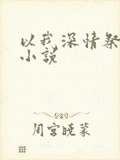 以我深情祭岁月小说