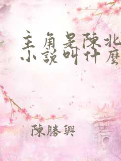 主角是陈北玄的小说叫什么