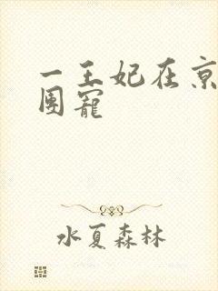 一王妃在京城当团宠