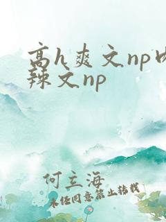 高h爽文np肉辣文np
