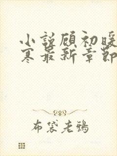 小说顾初暖夜景寒最新章节