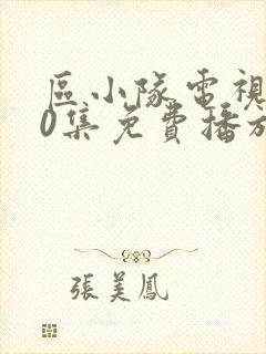 区小队电视剧40集免费播放