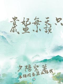 贵妃每天只想当咸鱼小说