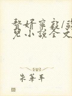 赘婿宁毅/苏檀儿小说全文免费阅读全文