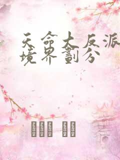 天命大反派等级境界划分