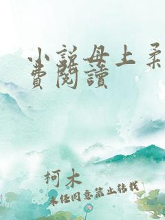 小说母上柔情免费阅读