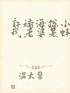 许娇海总小说,我老婆是蚌精转世
