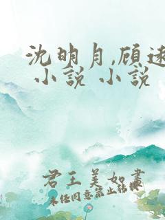 沈明月,顾远舟 小说 小说