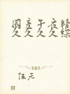 国产午夜精品久久久久久综合