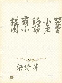 校霸的小哭包校园小说免费阅读姜甜苏