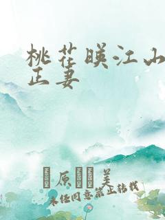 桃花映江山沈相正妻