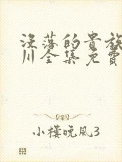 没落的贵族琉璃川全集免费观看是什么