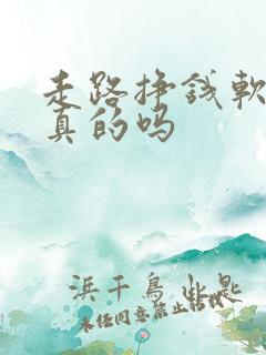 走路挣钱软件是真的吗