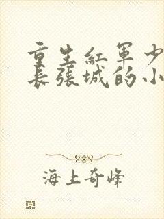 重生红军少共师长张城的小说