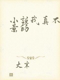 小说我真不是故意的
