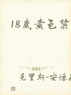 18岁黄色禁片
