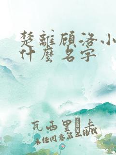 楚离顾洛小说叫什么名字