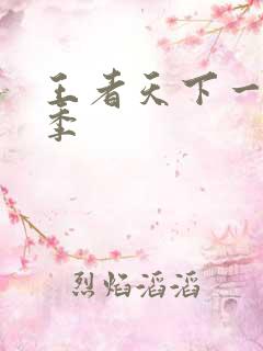 王者天下一共几季