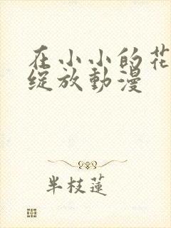 在小小的花蕾处绽放动漫