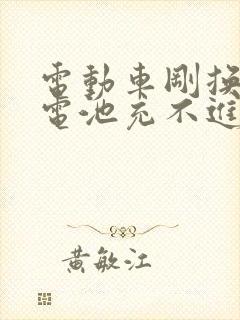 电动车刚换的新电池充不进去电