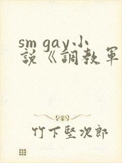sm gay小说《调教军奴》