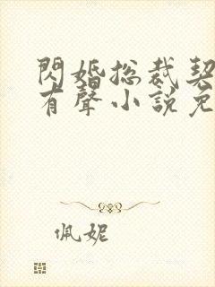 闪婚总裁契约妻有声小说免费听