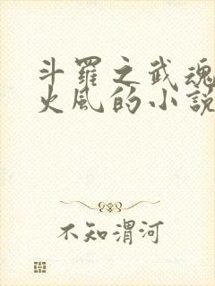 斗罗之武魂九首火风的小说