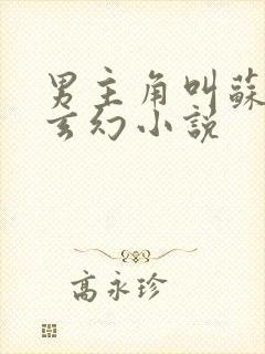 男主角叫苏奕的玄幻小说