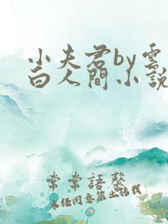 小夫君by云上白人间小说在线阅读免费