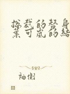 总裁的替身前妻叶可岚的结局