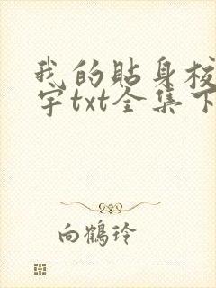 我的贴身校花唐宇txt全集下载