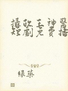 摄政王神医毒妃短剧免费播放