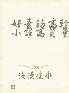 好看的高干言情小说高质量文笔好