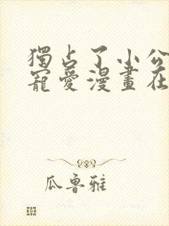 独占了小公主的宠爱漫画在线观看