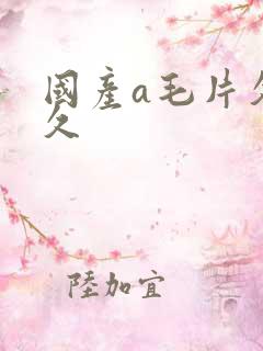 国产a毛片久久久