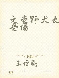 文豪野犬太宰治受伤