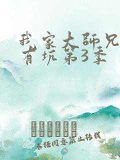 我家大师兄脑子有坑第3季