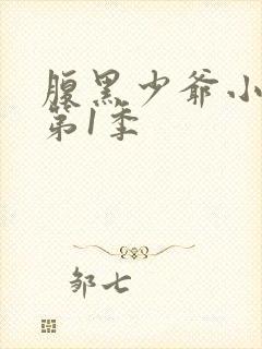 腹黑少爷小甜妻第1季