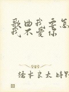 歌曲我要怎么说我不爱你