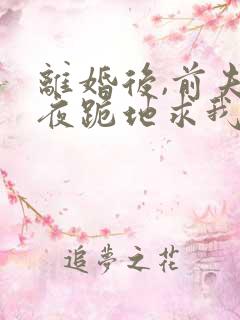 离婚后,前夫雨夜跪地求我复婚免费阅读