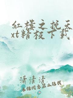 红楼之挽天倾txt精校下载