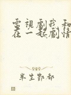 电视剧我和我们在一起剧情介绍