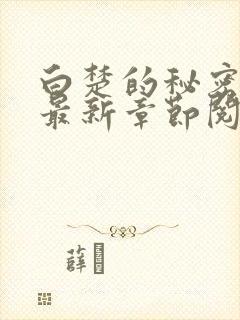 白楚的秘密小说最新章节阅读全文