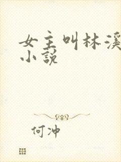 女主叫林溪月的小说